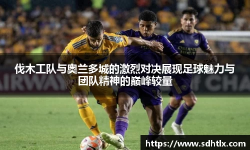 DG视讯平台